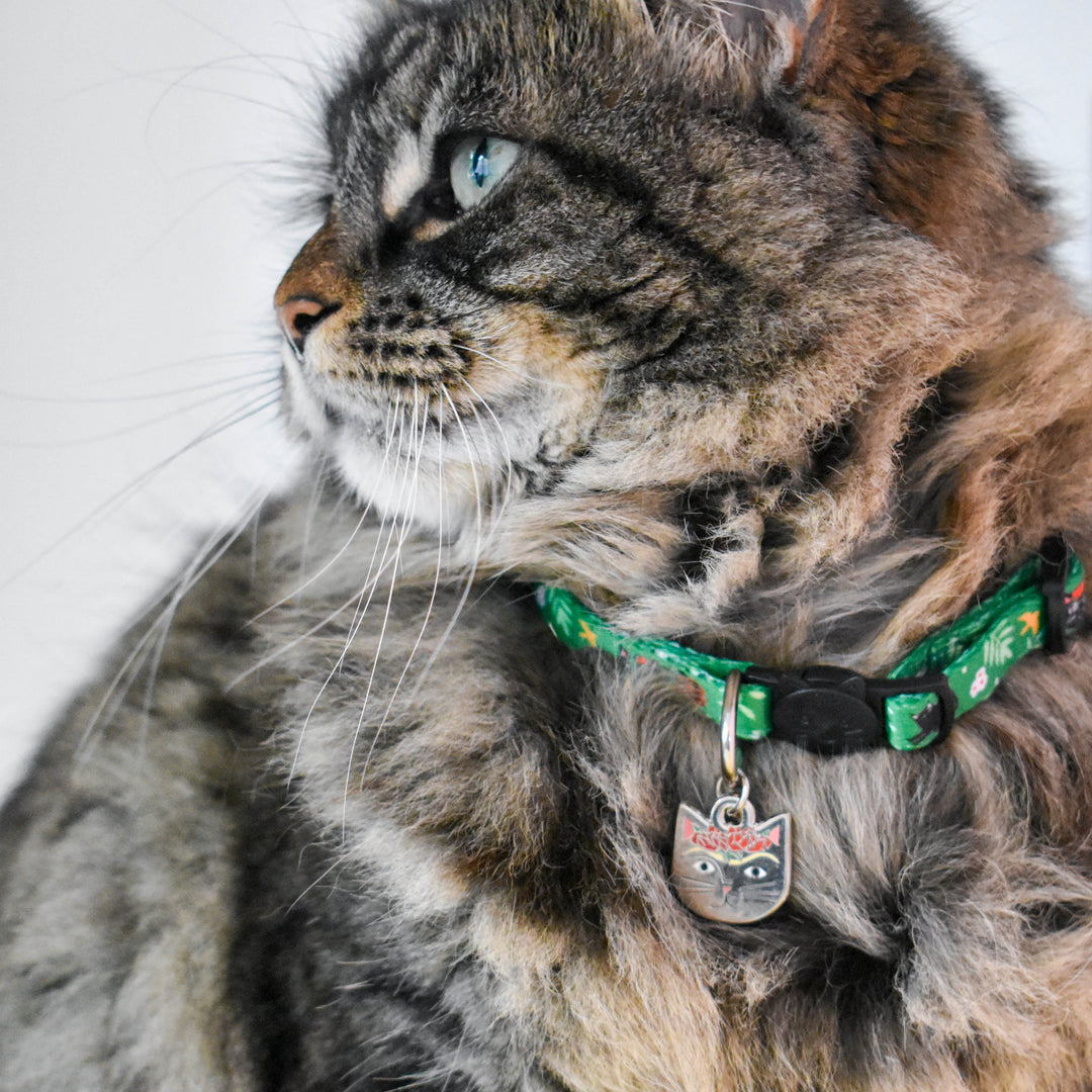 Frida Catlo Artist Cat Collar