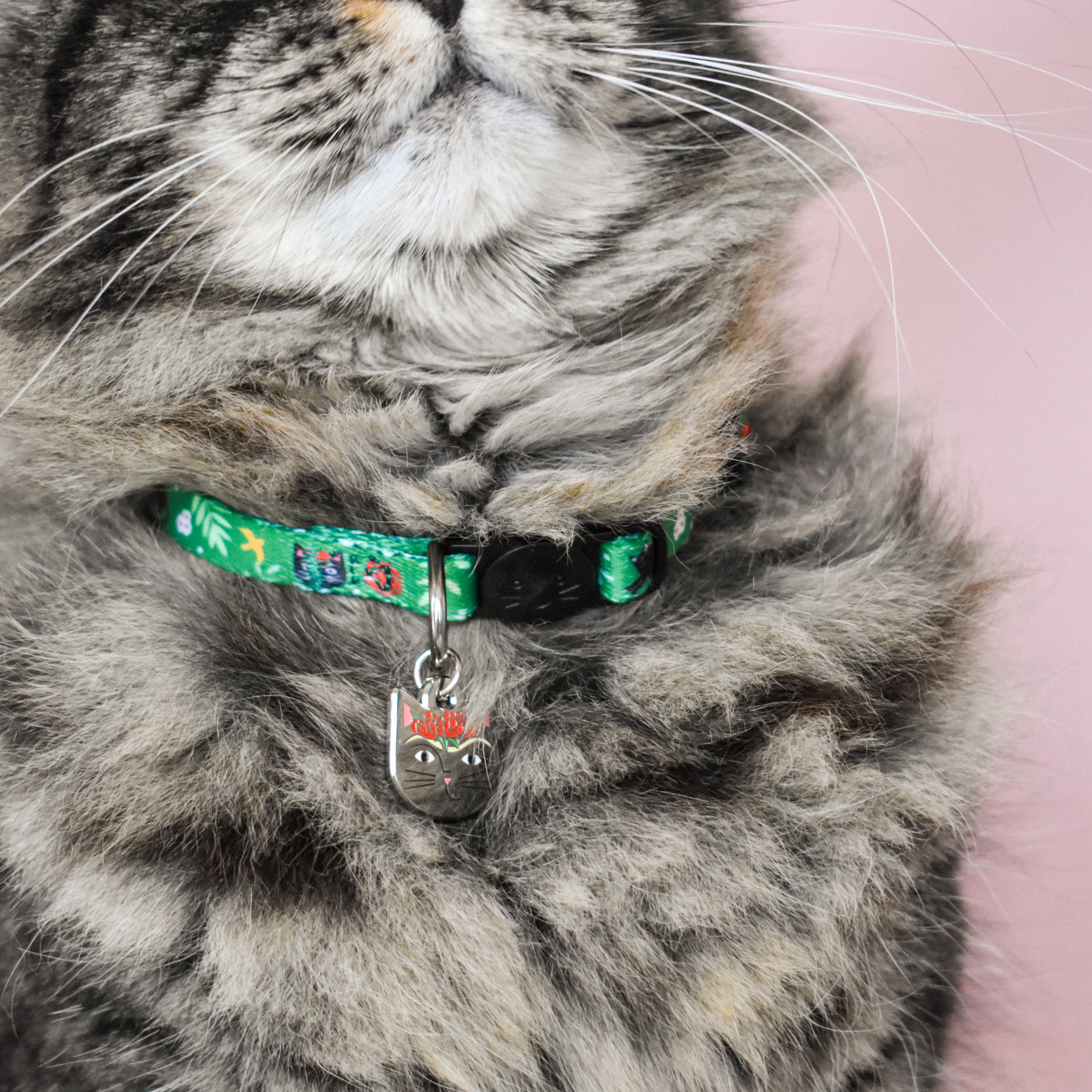 Frida kahlo hotsell dog collar